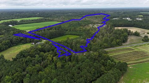 1237 Spring Garden Rd. Conway SC 29527