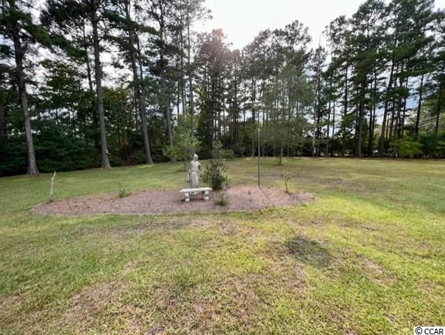Photo 5 of 9 of 13452 Swamp Fox Hwy. E house