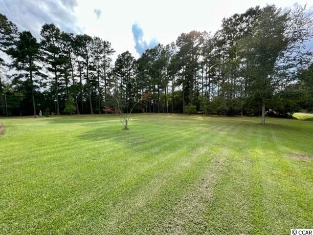 Photo 4 of 9 of 13452 Swamp Fox Hwy. E house