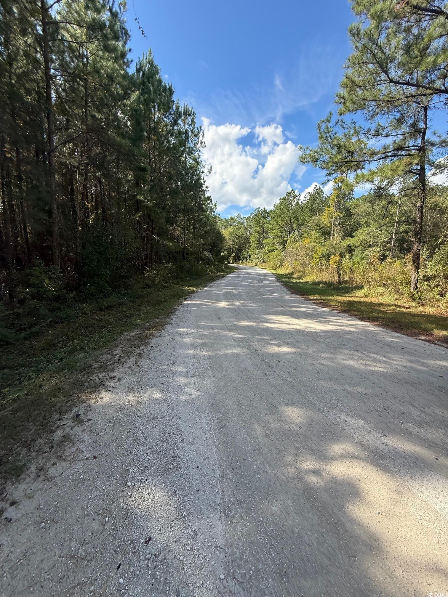 Conway, South Carolina 29526, United States, ,Land,Active,223452