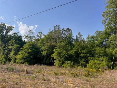 Photo for 2716 W Highway 378 Hannah
