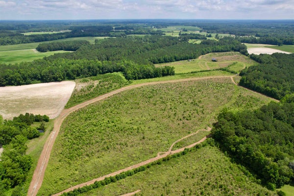 POWELL RD, GREEN SEA, SC 29545 - Image a6a2284819384995fa70c8dccb731fa1/558963202
