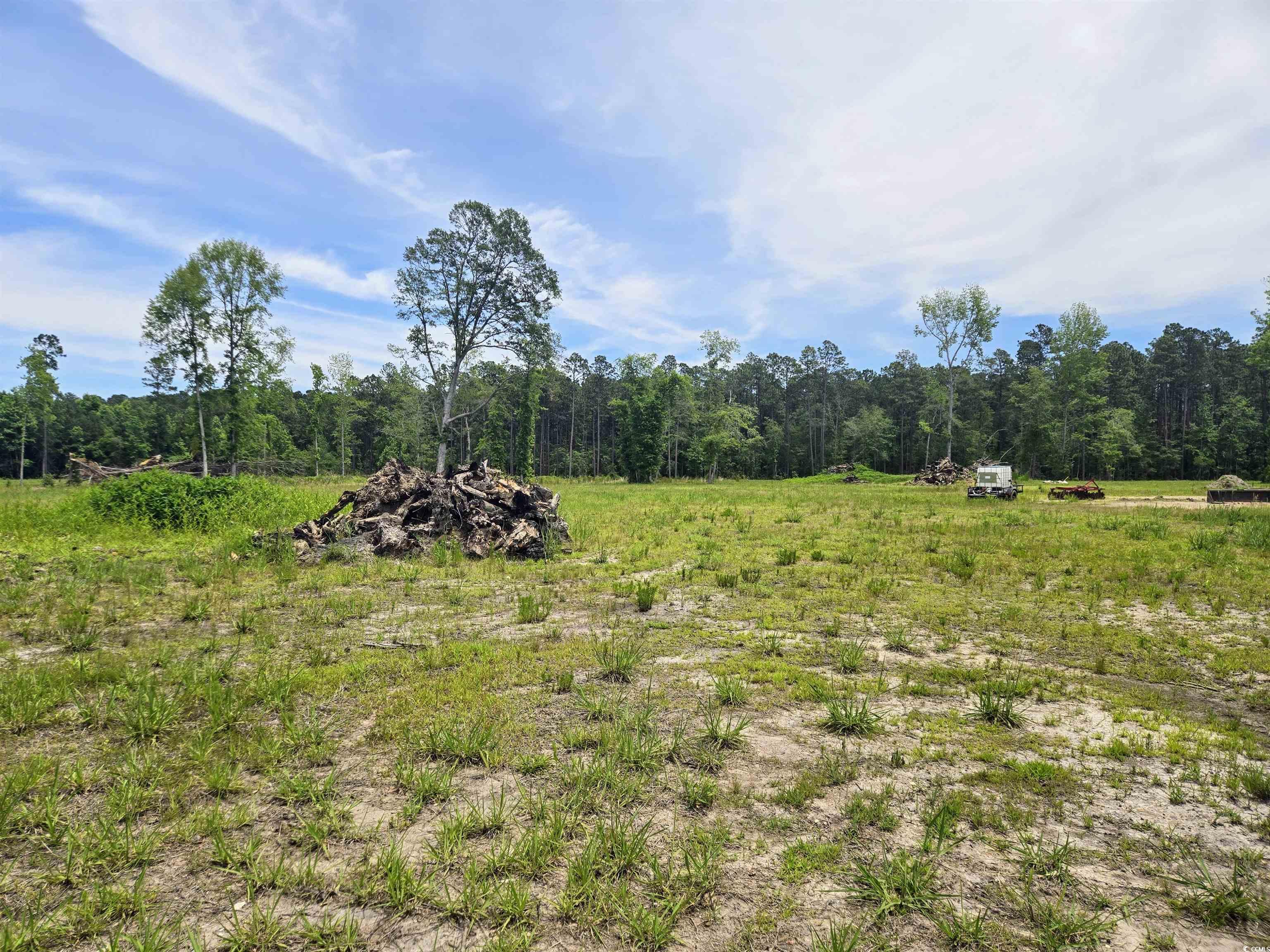 Photo 6 of 8 of TBD Mount Olive Church Rd. land