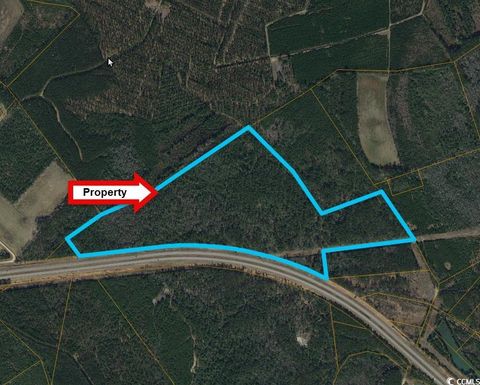 TBD Roanoke Rd Conway SC 29526