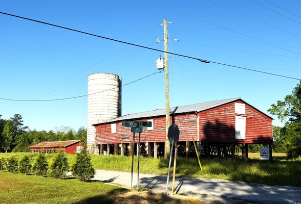 BORKOWITZ RD, SCRANTON, SC 29591 - Image a9930fa2a2dd2df1b8a9365eb3e11c2c/2277438518