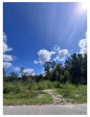 1223 RAINBOW DR, LORIS, SC 29569 - Image acb1bda8910d4b508ffcbeea8b8d16e4/1056509038
