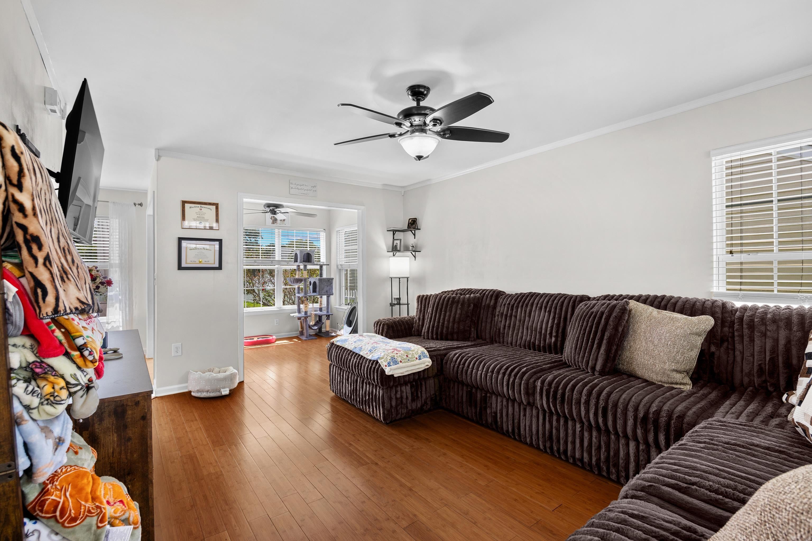 2629 Scarecrow Way