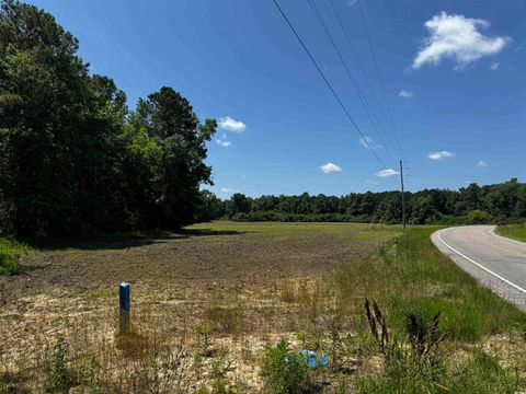 TBD 23.20 AC Highway 45 Loris SC 29569