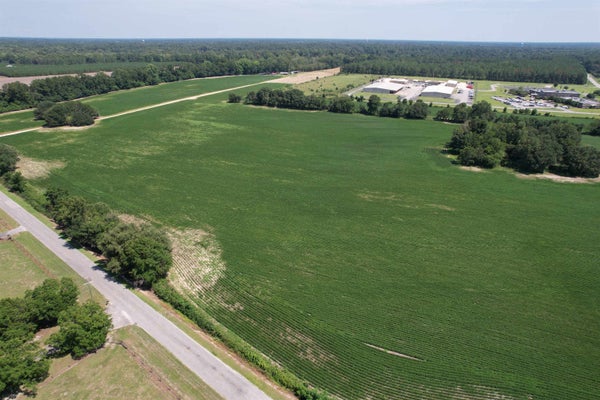 BUCK STRONG RD, KINGSTREE, SC 29556 - Image af51790fe5e6c3bfc4bc43bcef44efef/3201693295