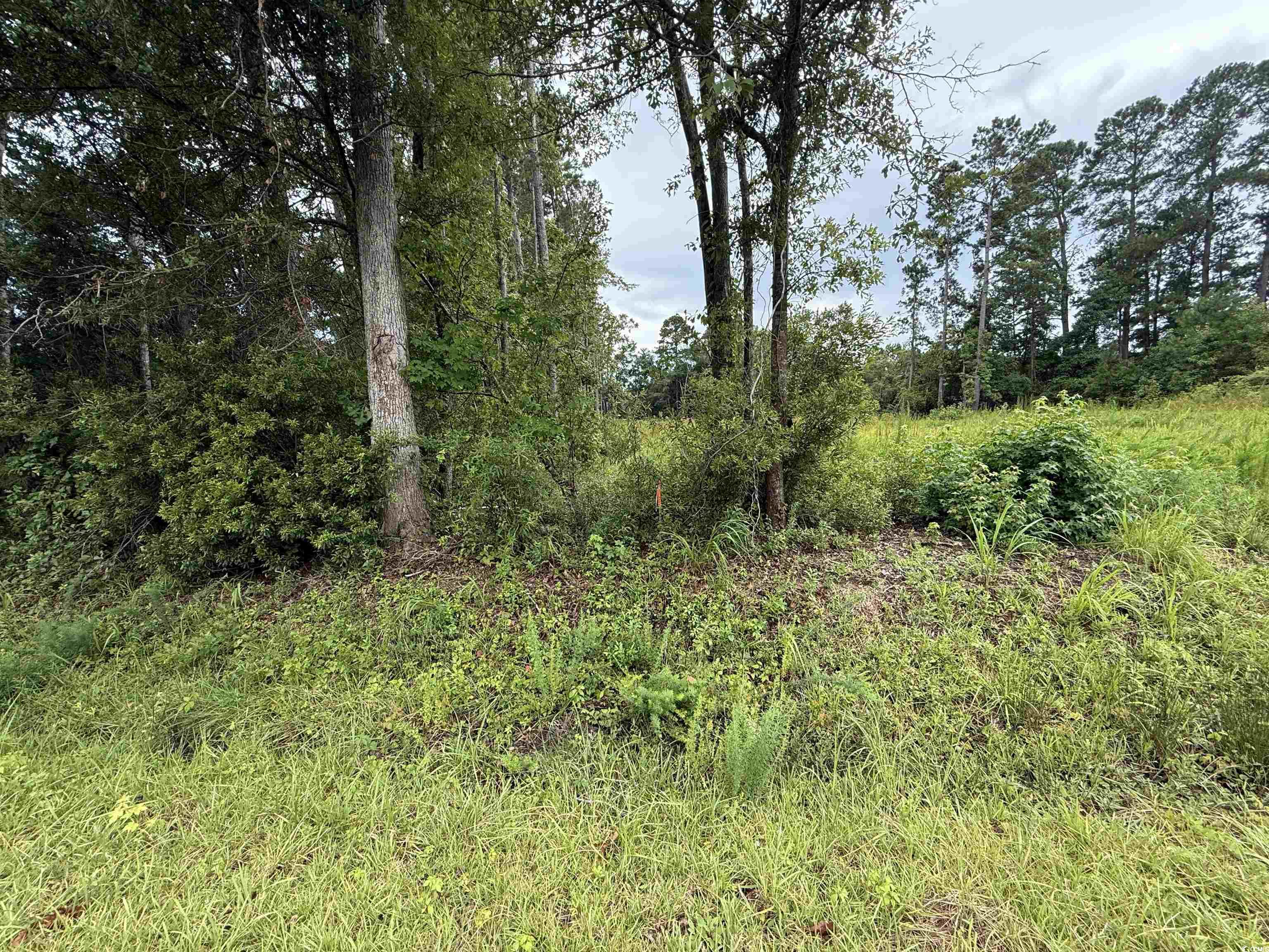 3082 Wise Rd.
