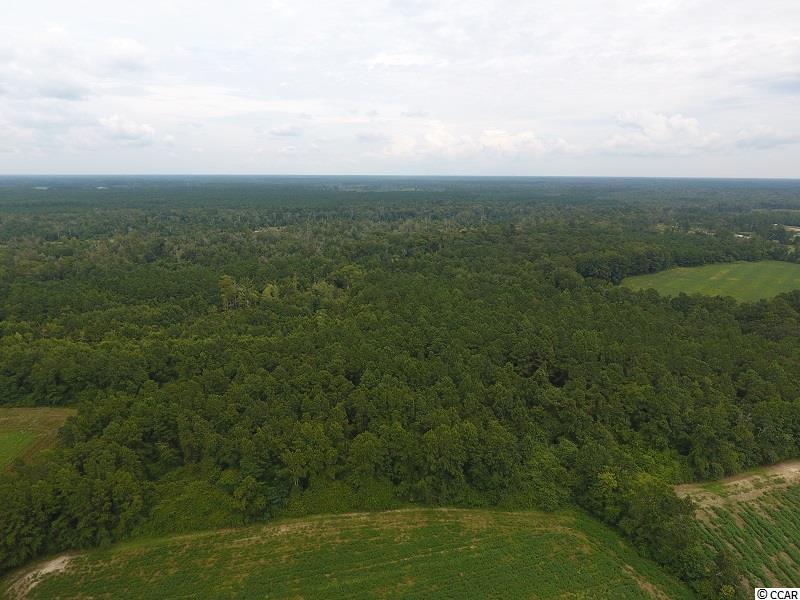 Photo 7 of 12 of 15535 Seven Creeks Hwy land