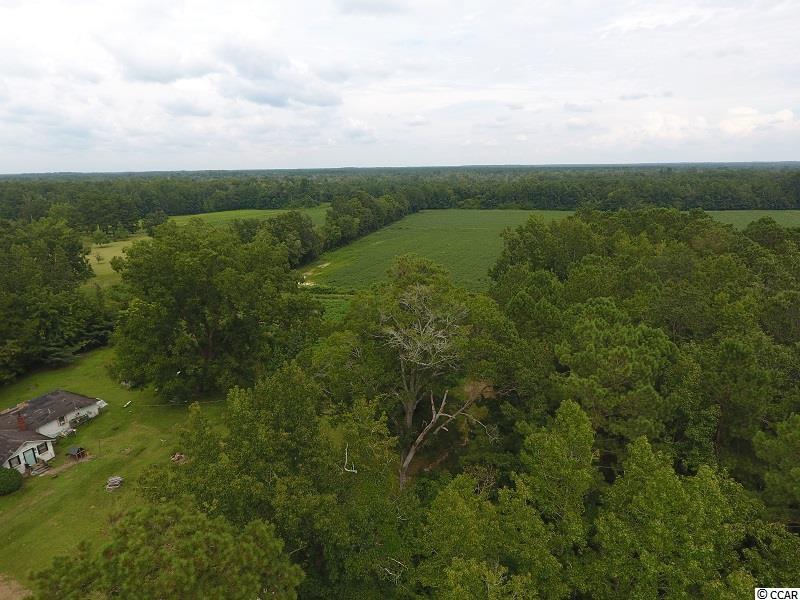 Photo 3 of 12 of 15535 Seven Creeks Hwy land