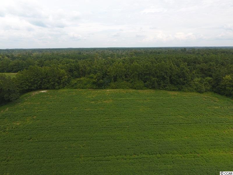 Photo 6 of 12 of 15535 Seven Creeks Hwy land