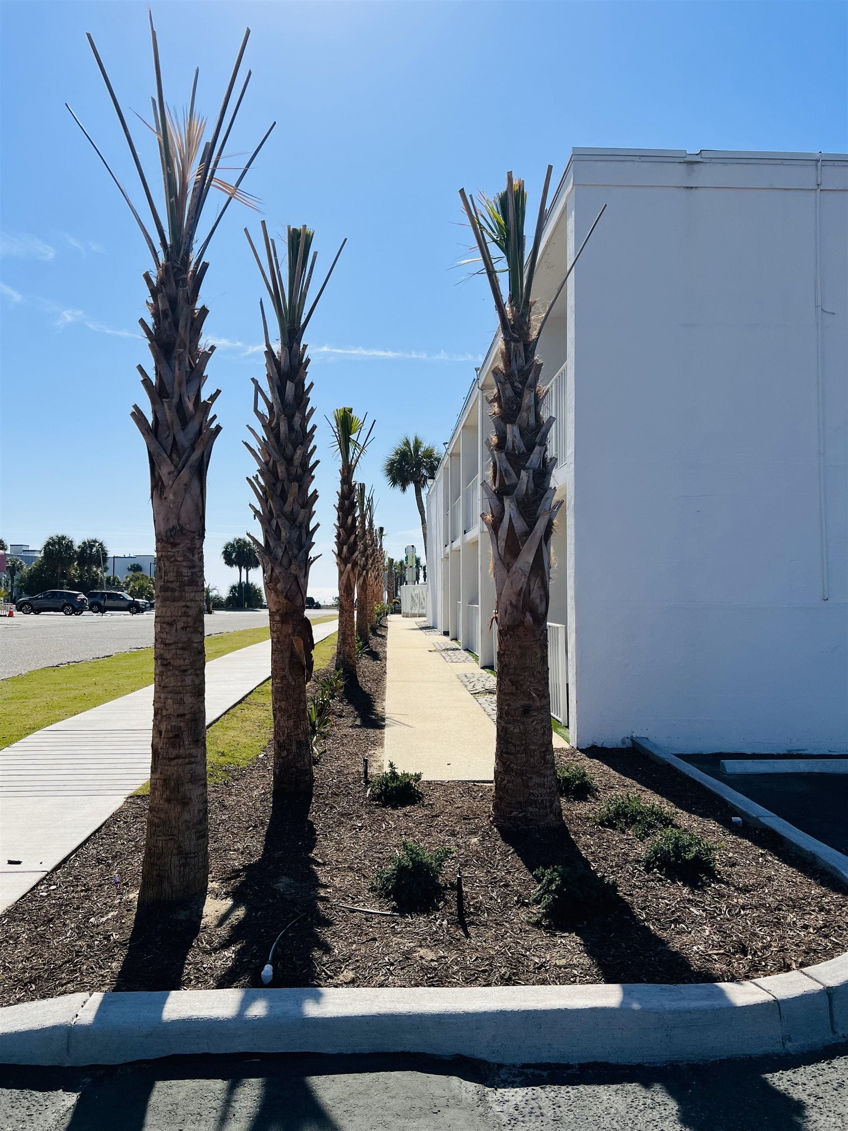 1500 S Ocean Blvd.