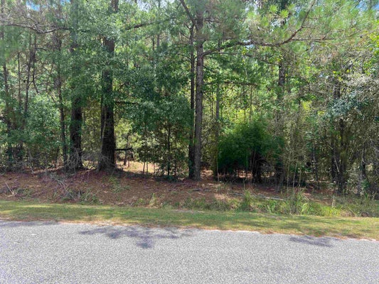 ERVIN RD, ANDREWS, SC 29510 - Image b4ca03f86b7f2bc17a2ad605122d9fc2/2261295100