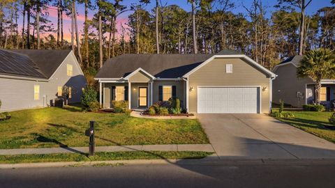 Photo of 2820 Desert Rose St, Little River, SC 29566 (MLS # 2610278)