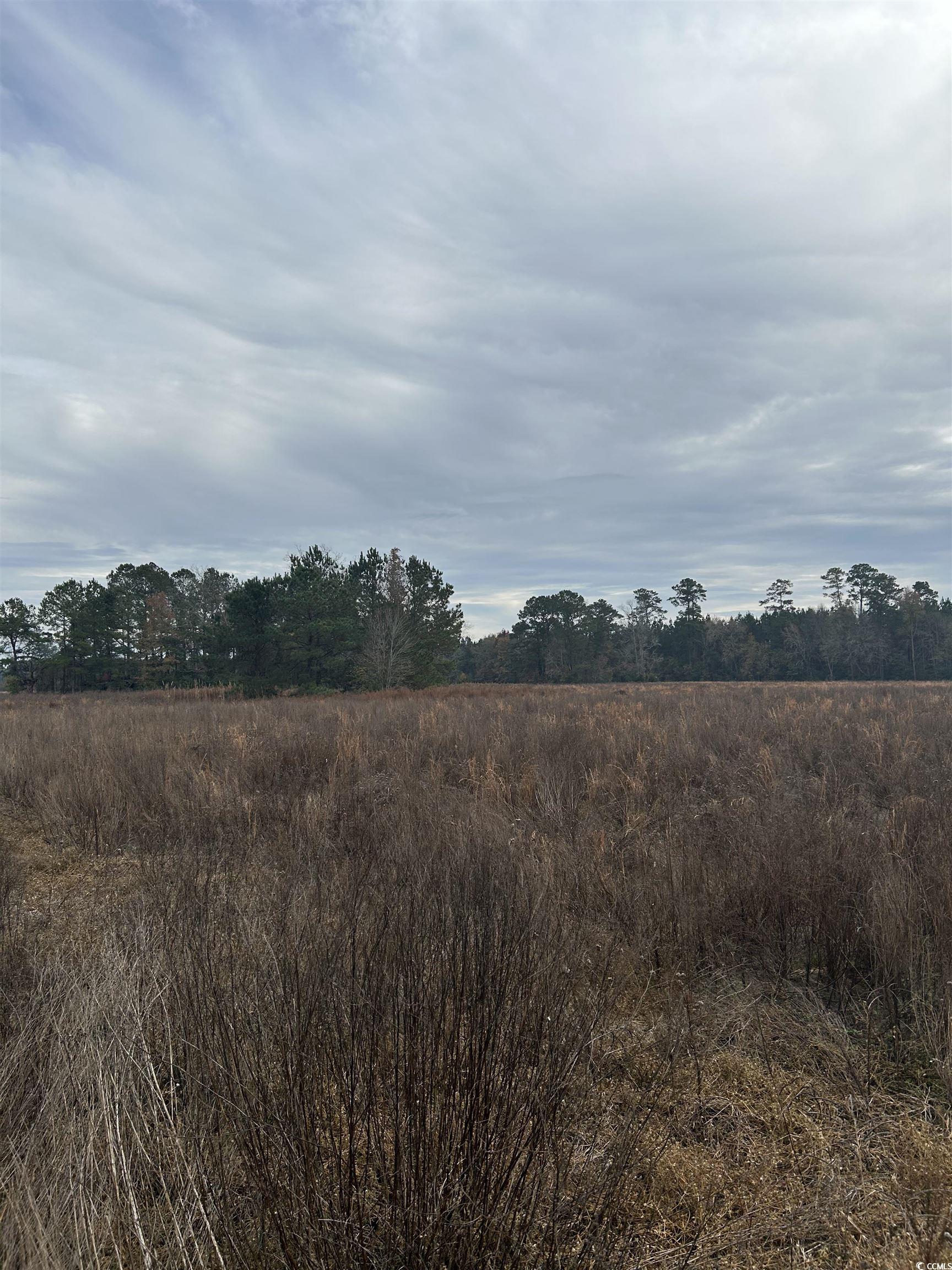 TBD Williams Hill Rd.