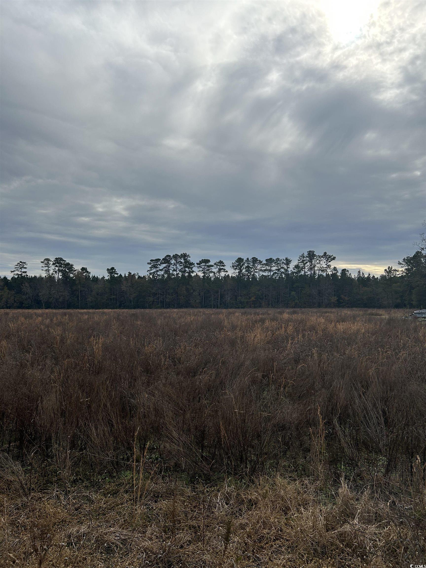 TBD Williams Hill Rd.