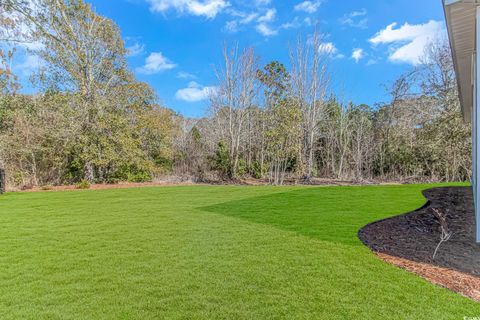 A home in Pawleys Island