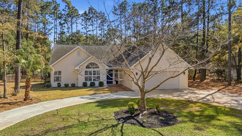 Photo of 160 Riverbirch Ln, Pawleys Island, SC 29585 (MLS # 2606532)