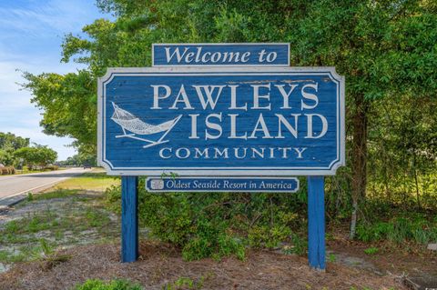 A home in Pawleys Island