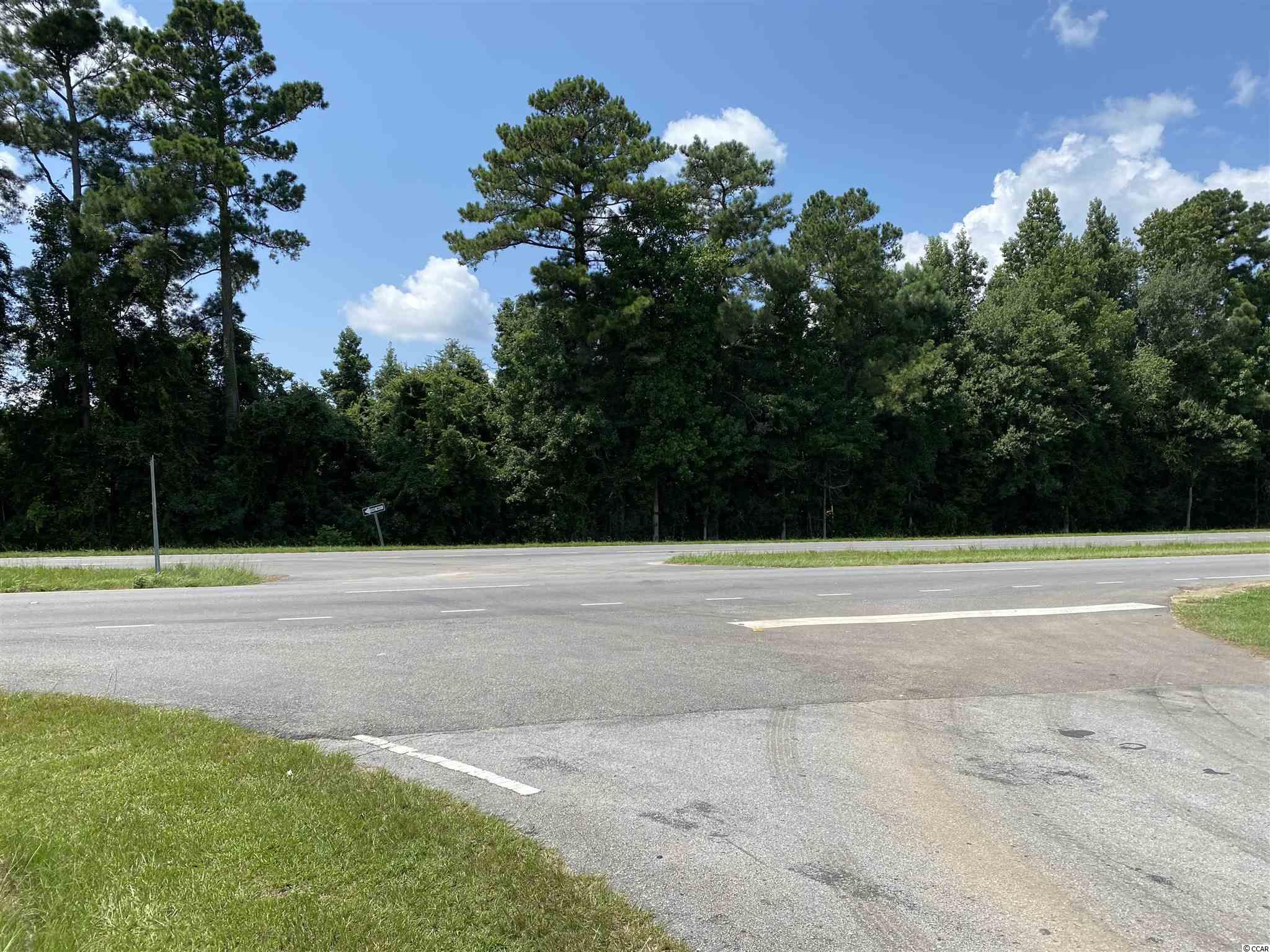 TBD Highway 501