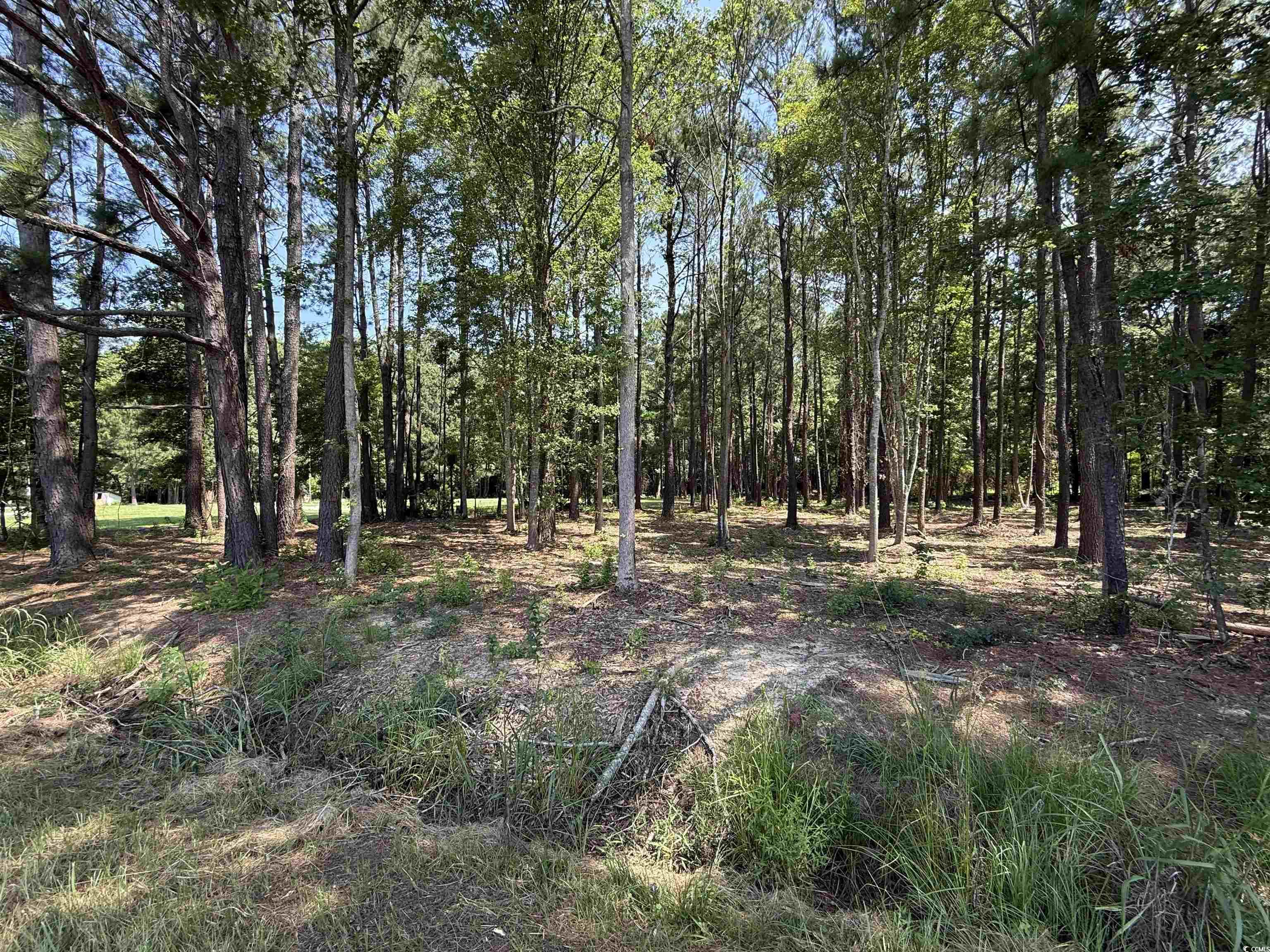 Lot 3 Highway 668