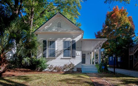 524 Highmarket St. Georgetown SC 29440