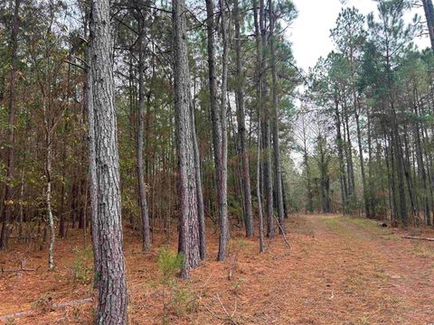 TBD Highway 746 Loris SC 29569
