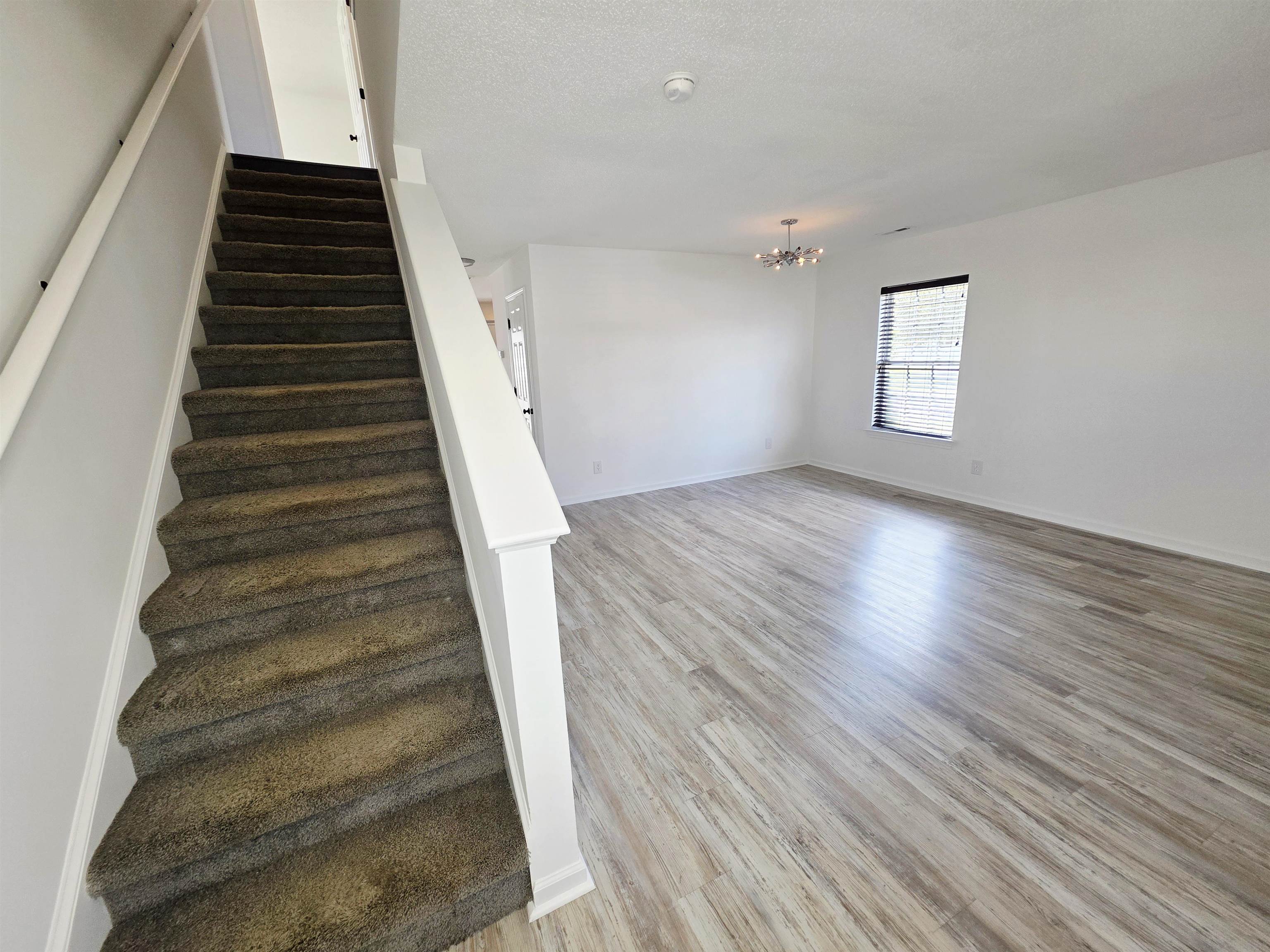 221 Palmetto Glen Dr.