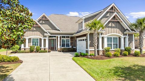 Photo of 1013 Whooping Crane Dr, Conway, SC 29526 (MLS # 2610175)