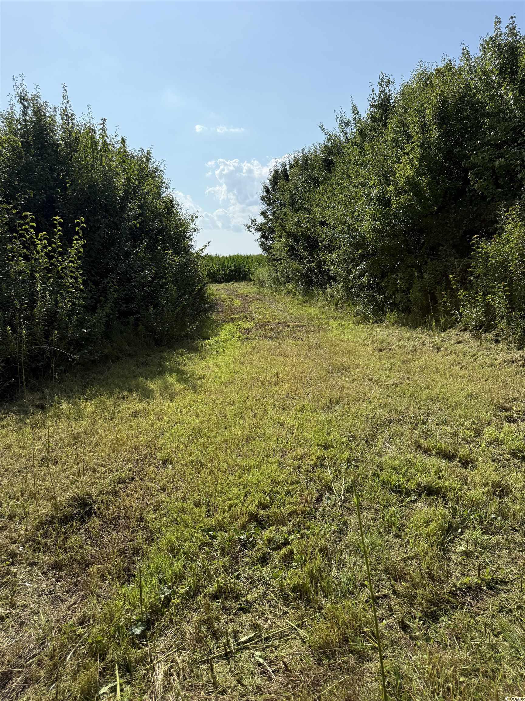 TBD Plantation Dr.