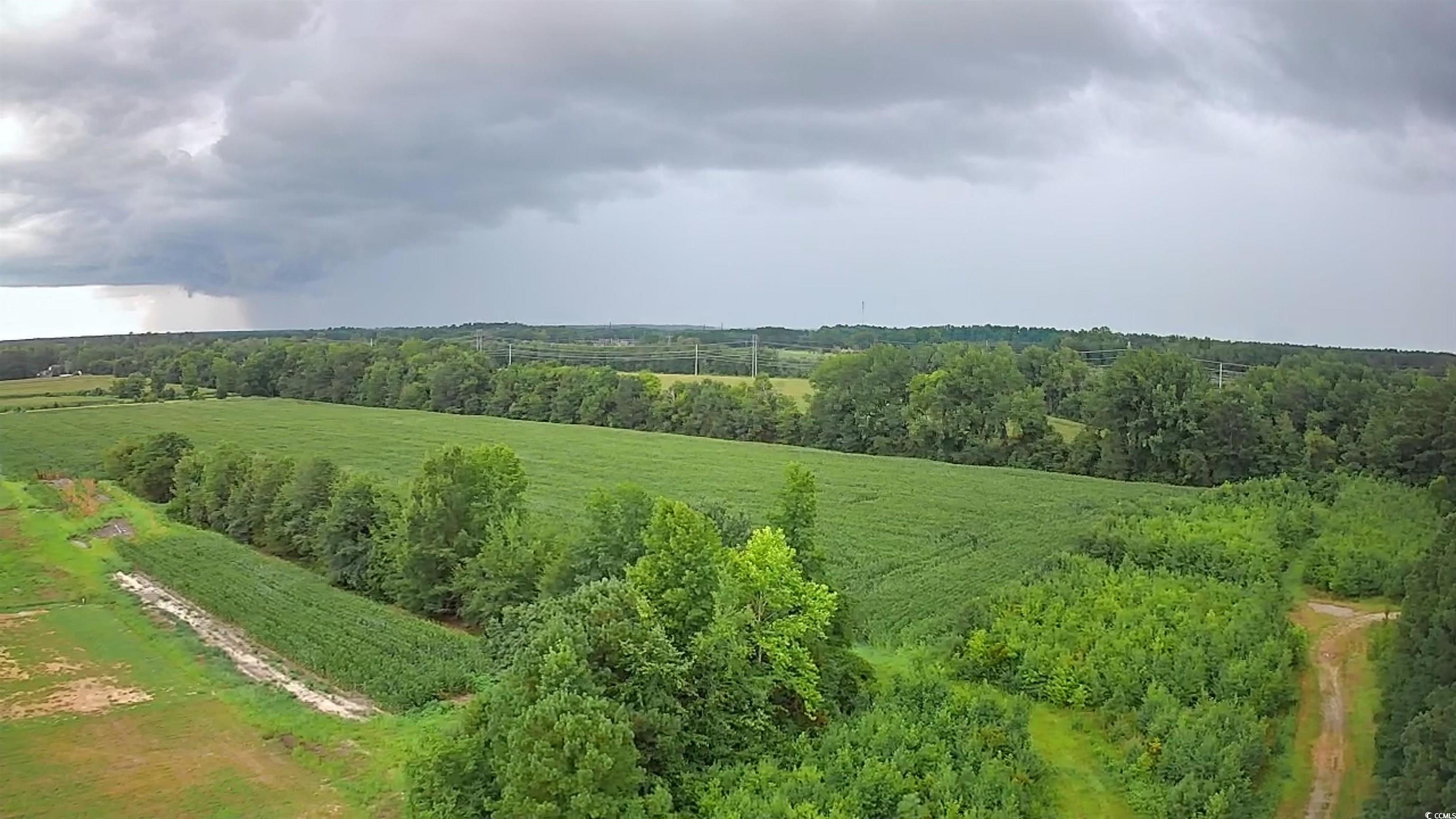 TBD Plantation Dr.
