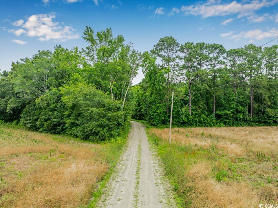 6.5 Acres Christine Pl.