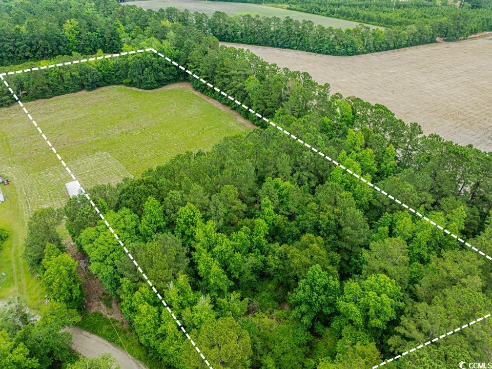 6.5 Acres Christine Pl.