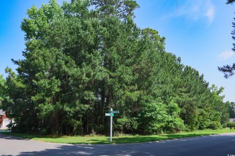 Photo of 131 Waterhall Dr, Murrells Inlet, SC 29576 (MLS # 2529344)