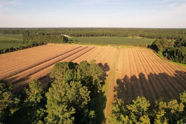 62 MARION CHURCH RD, SALTERS, SC 29590 - Image cf33fa9a8954e55fb02a0dc4ddbaaff5/1121972363