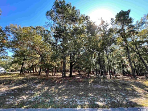 Featured picture for the property 2323109