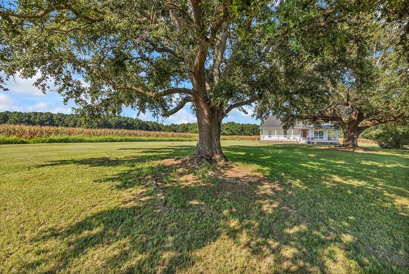 3568 Alcolu St.