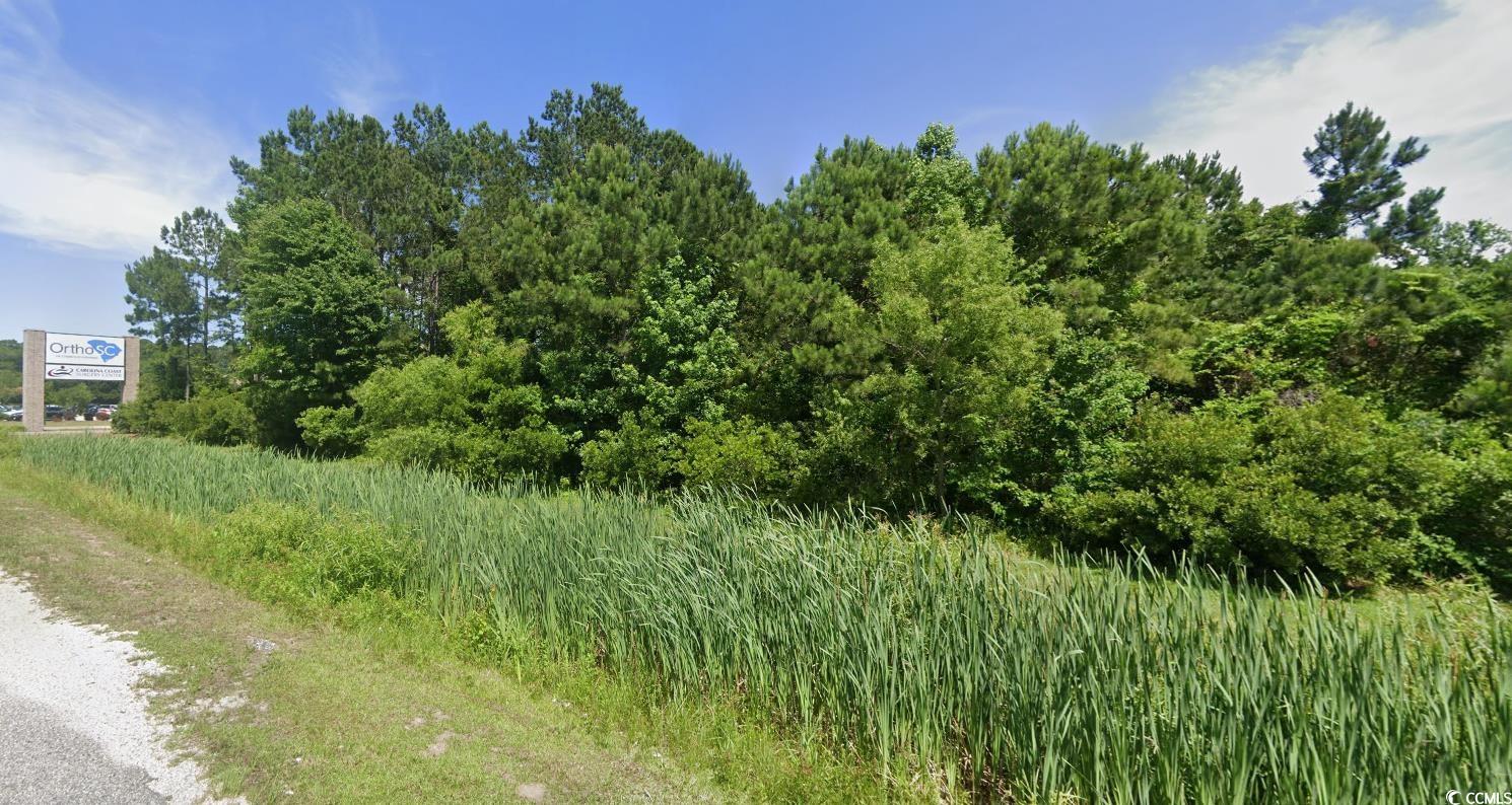 3545 Highway 17 Bypass