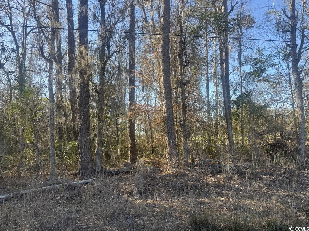 2135 Highway 646