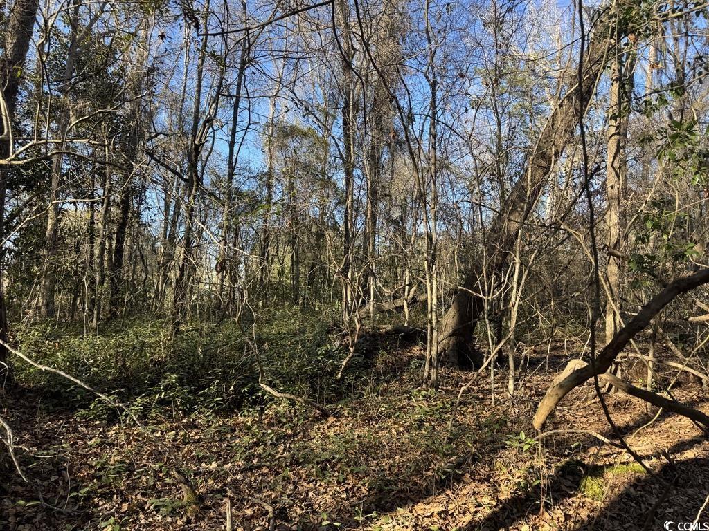 2135 Highway 646