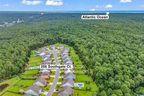 A home in Pawleys Island