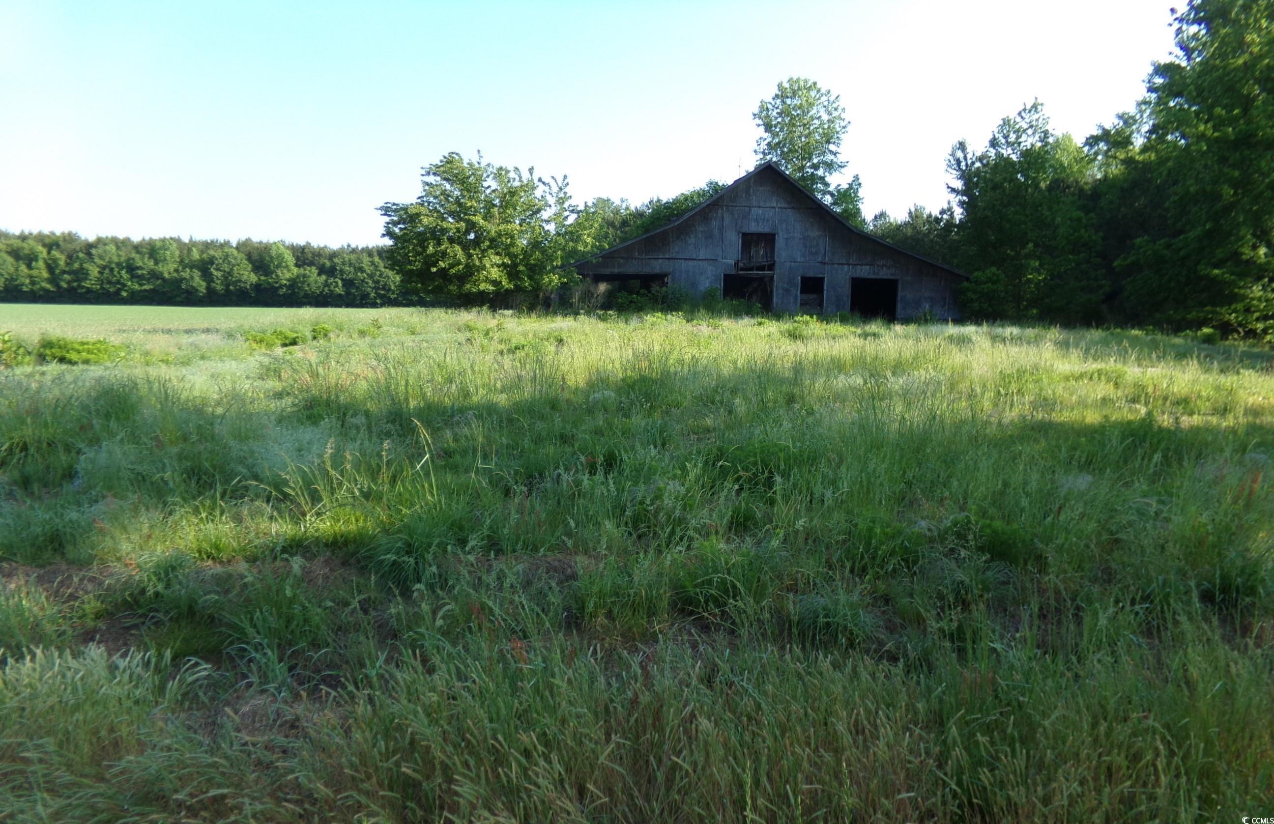 View Nichols, SC 29581 land