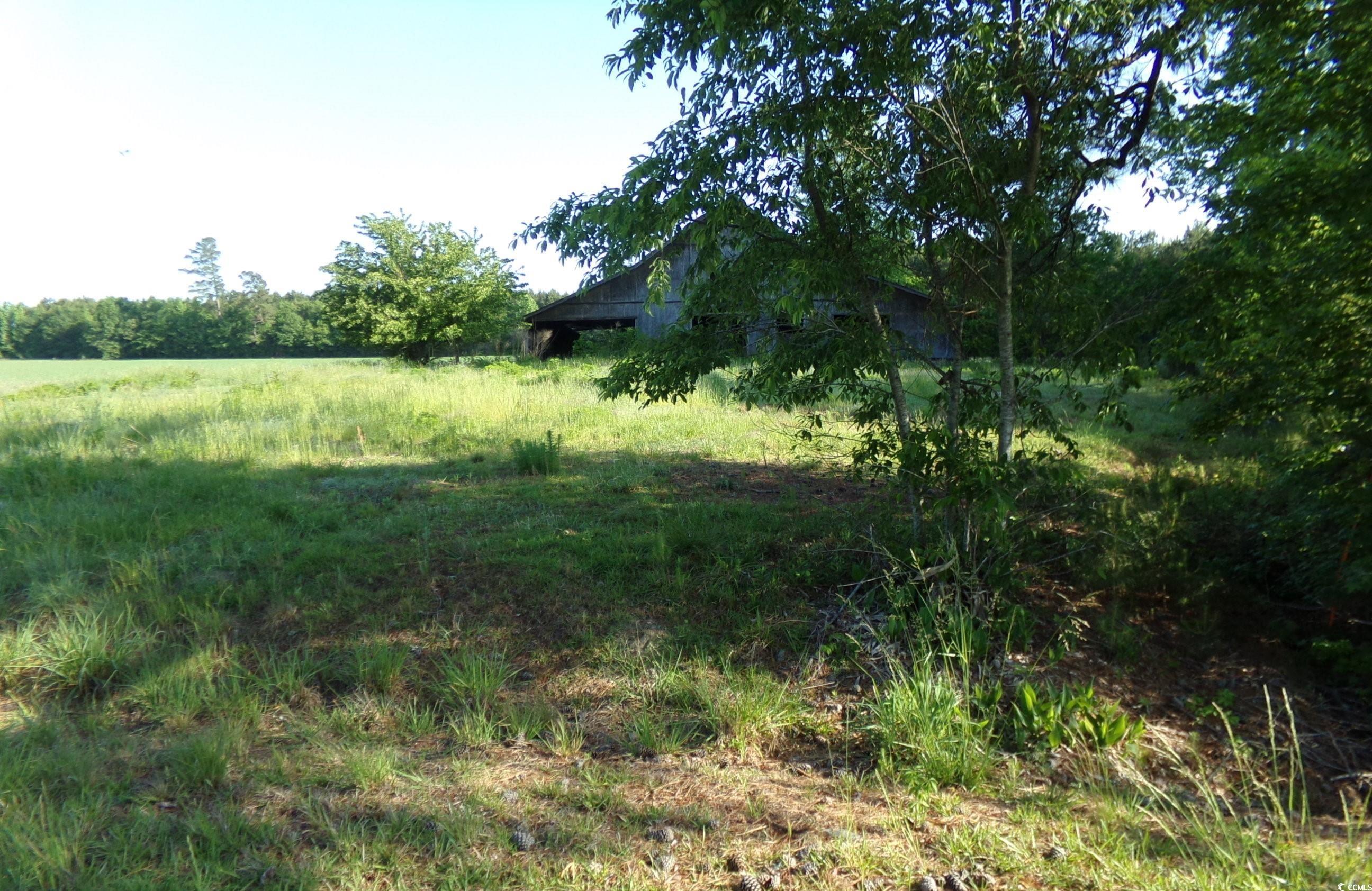 Photo 2 of 8 of 5369 Hamps Rd. land
