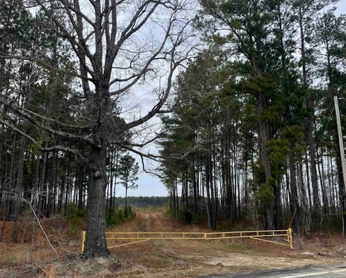 ROCKY FORD RD, SALTERS, SC 29590 - Image d69a11d9fa8368e63c8d0f72eec4b0f1/4047093577