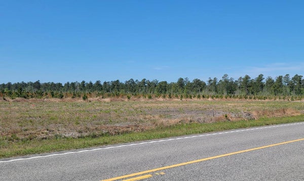 5500 JOYNER SWAMP RD, GALIVANTS FERRY, SC 29544 - Image d6b4750d0f45d2bfe7a0e6d2bda4479d/3721226232