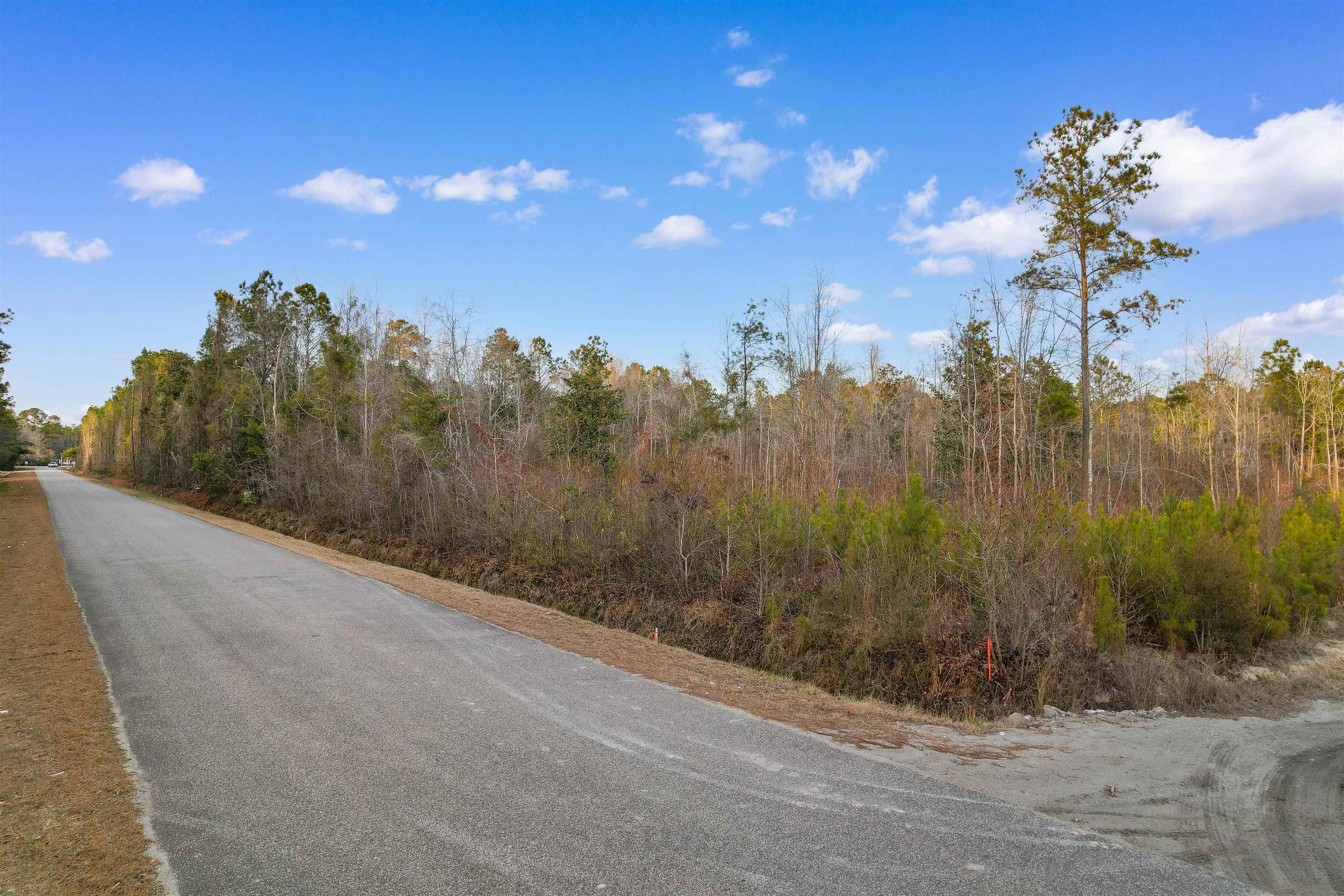 TBD Fowler School Rd. - Photo 2