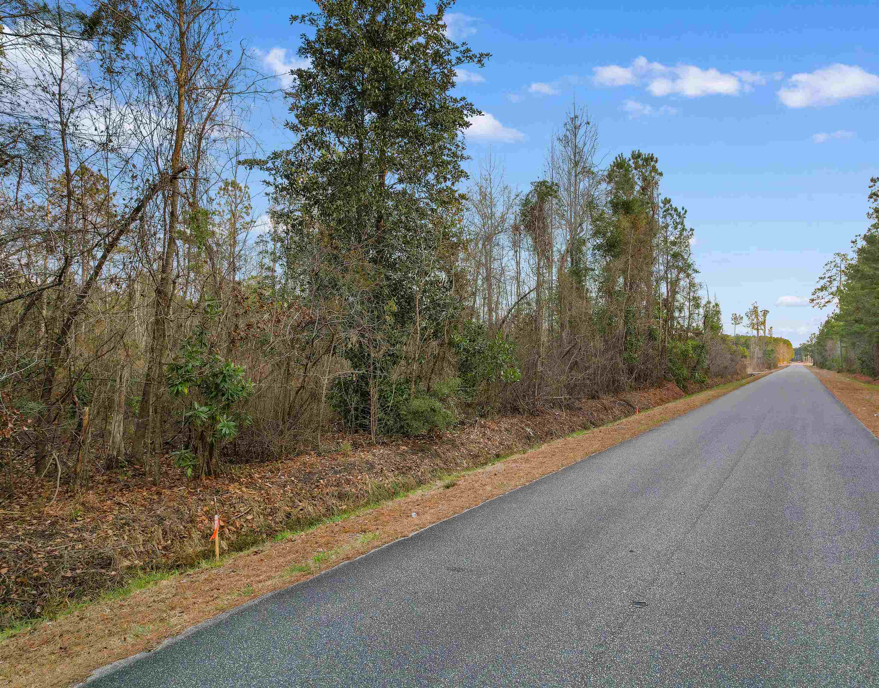 TBD Fowler School Rd. - Photo 3
