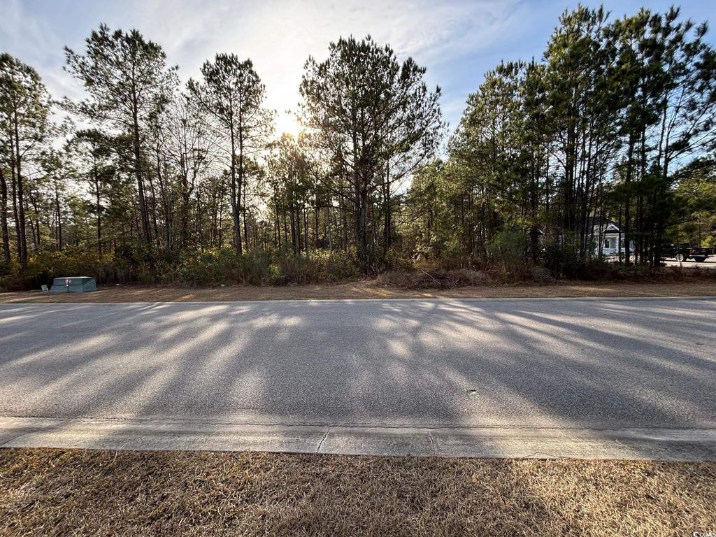 Photo of 3045 New Castle Loop, Myrtle Beach, SC 29588 (MLS # 2501154)